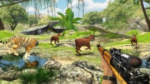 the hunter 3d hunting game