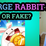 Read more about the article MERGE RABBIT app