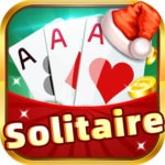 Read more about the article HUGE WIN SOLITAIRE