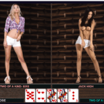 Read more about the article POKERJERK Adult game