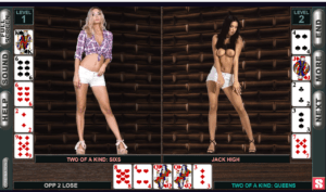 Read more about the article POKERJERK Adult game
