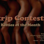Read more about the article Strip Contest